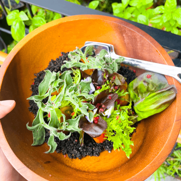 Soil To Soul ingredient The Farm