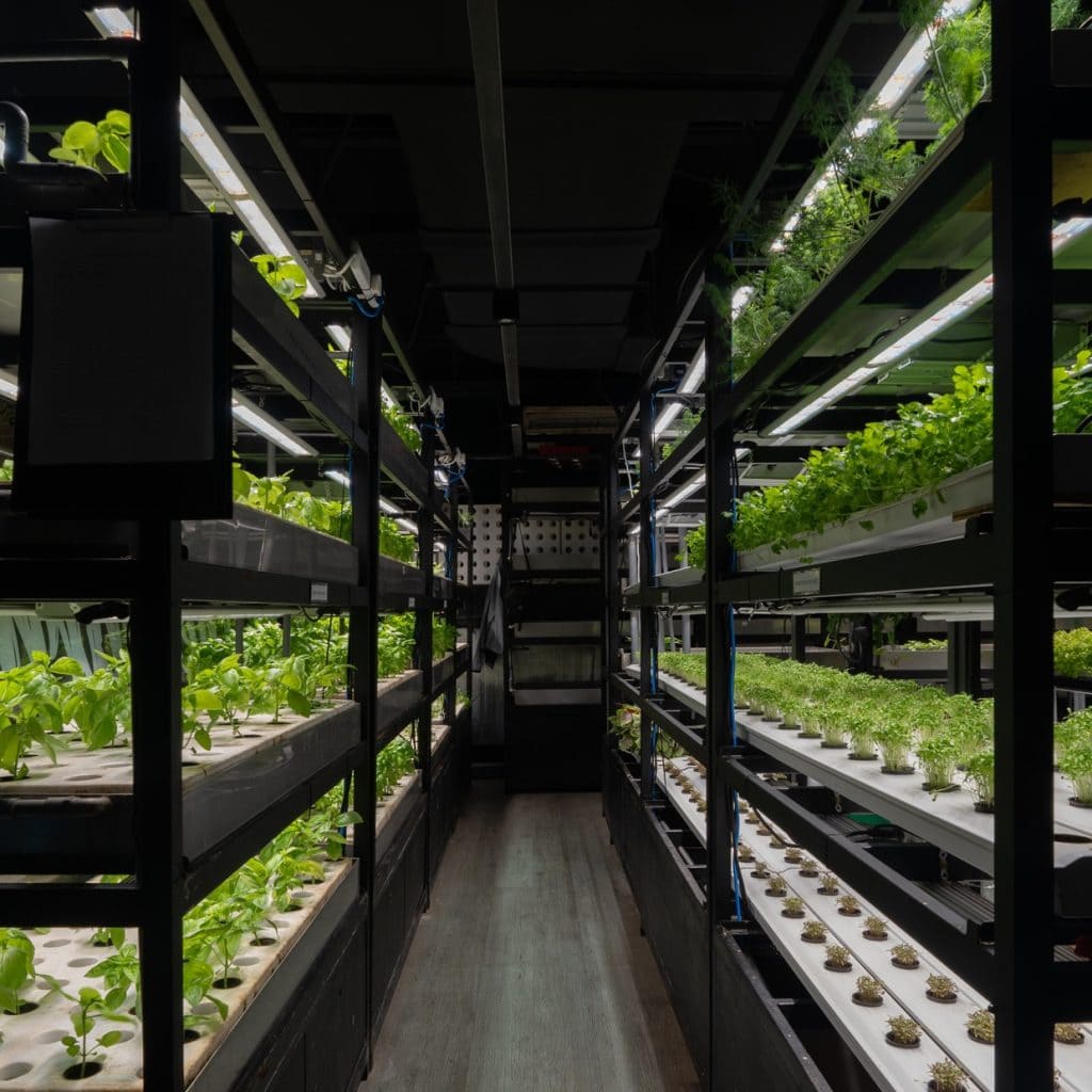 TheFarm-TheSphere-3